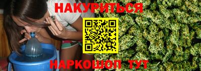 сатива Бузулук