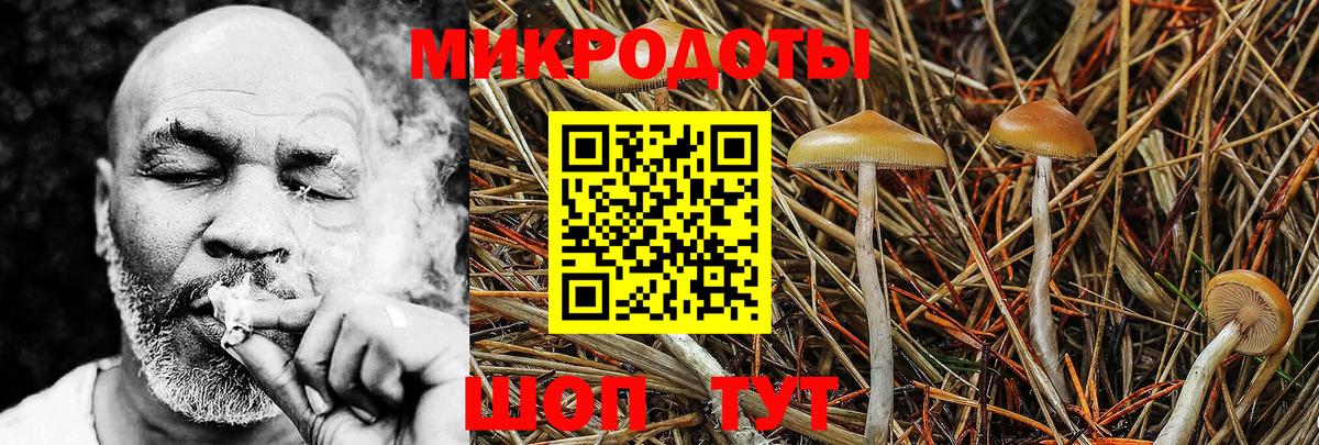 Псилоцибиновые грибы мицелий  Вход с VPN  Каменск-Шахтинский 
